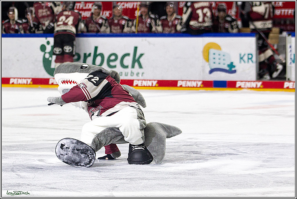 PENNY DEL;  Koelner Haie - ERC Ingolstadt; Koeln, 01.04.2021